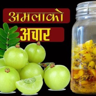 AMALAKO ACHAR 350 GRAM 20 PIECES