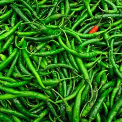 FRESH GREEN CHILLI 🌶 (500gm.)