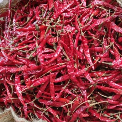 Dry Chilly (sukeko kursani)