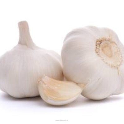 Fresh garlic 100g