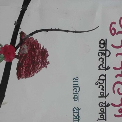 गुराँसहरु कहिल्यै फुल्नेछैनन् ( कथा)