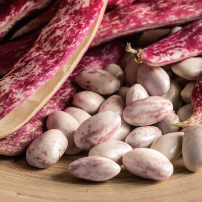 RK CRANBERRY BEANS - cranberry beans 500 gm