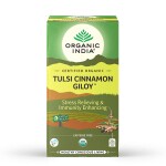 ORGANIC INDIA Tulsi Cinnamon Giloy - tulsi and giloy tea (25 bags)